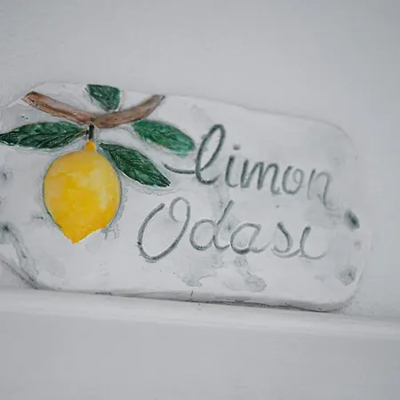 B&y Burgaz * Σελτσούκ