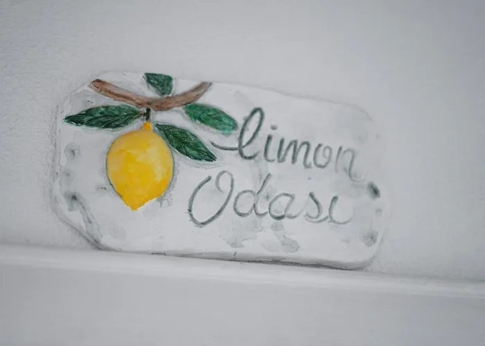 B&y Burgaz * סלצ'וק